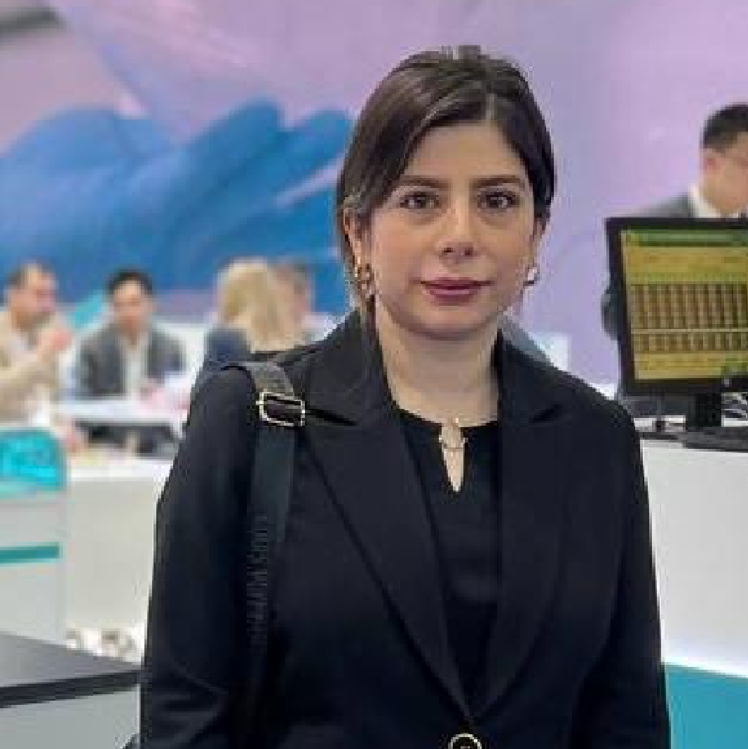 Elnaz Zangeneh